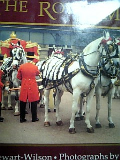 �������悢�ł�