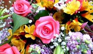 �S�����Ă���������