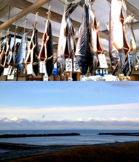 ���₩�ȔN��