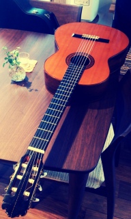 �M�^�[�������Ă���