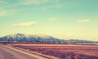 ���V�C���o����