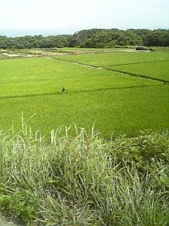 �V�C������