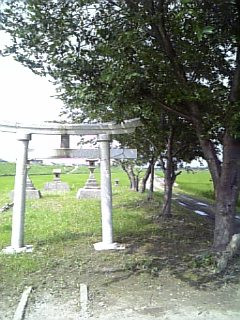 ����Ă݂܂���