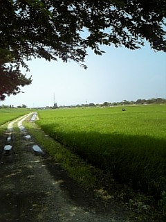 ����������Ɗ�蓹