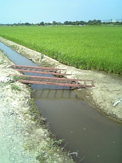 ��Â���̐��H���I