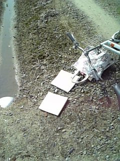 ��炤����