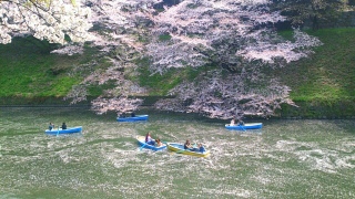 �W�I���}�݂���������