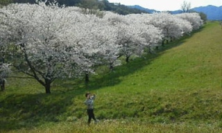 Fw:�E�H�[�L���O�����B