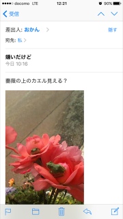 ���܂̂��Ⴍ��