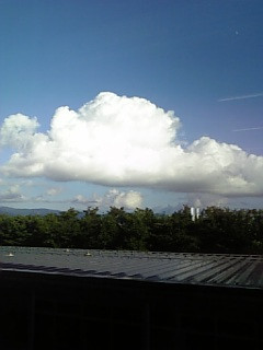 �Ă�����