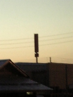 �ߏ��ŗL����