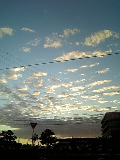 �F�l����