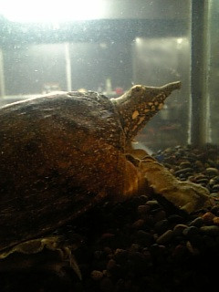 �J������