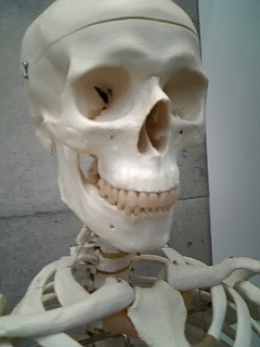 ���ߋ���