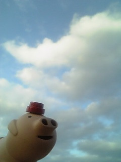 �t�H���_������