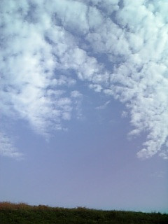 �H�̋�͍���