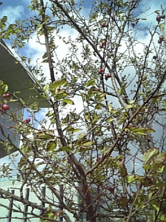 �������ځH