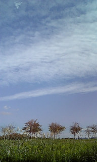 �����͐Q�V