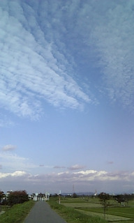 �J�_����������