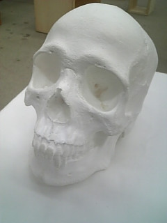 �ŋ߂悭����