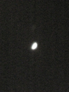 ���Ɩ{�C��