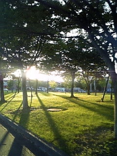 �U��ɂ������I