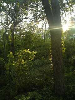 �I�K�J�Y�I����̐��E