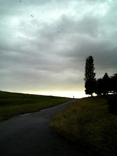 �����ꂴ��q