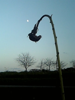 ���ƂЂ܂��