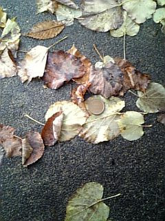 ���Ƃ���10�~��