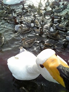 �����͂���