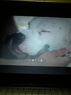 �{���{��