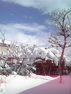 ���˂���ῂ���