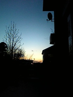 ���V�A���C�U�[