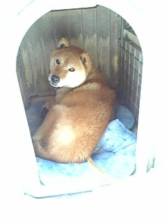 ���ƂȂ��߂�