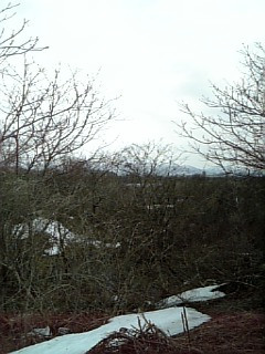 ��ʒ�����