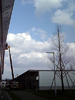 ������ƑO�́B