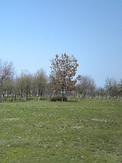 ���e���񉤍�