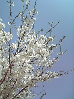 �g�����Ȃ����[