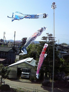 �f�v����