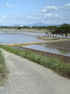 �c�A���͂��܂�����