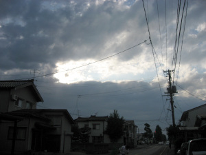 �t�V�M�_�l