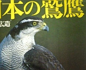 �󂯔���̎󂯔���