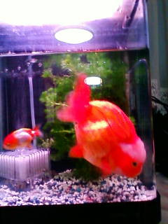 Fw:�V��������������