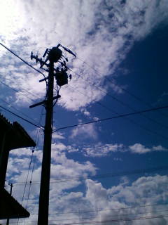 �����y���ĉ������c