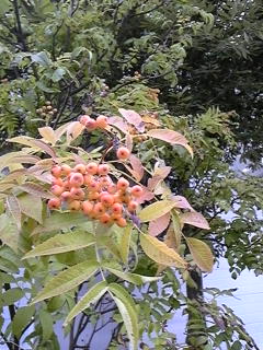 ���Ă�����