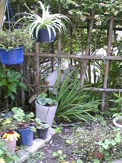 �̂�ʂ����c