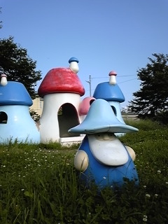 ���҃h���E�y��