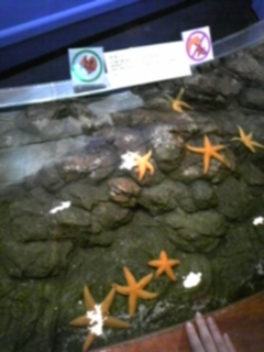 �q�g�f�G����