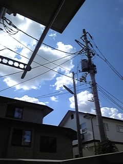 �R���g���X�g